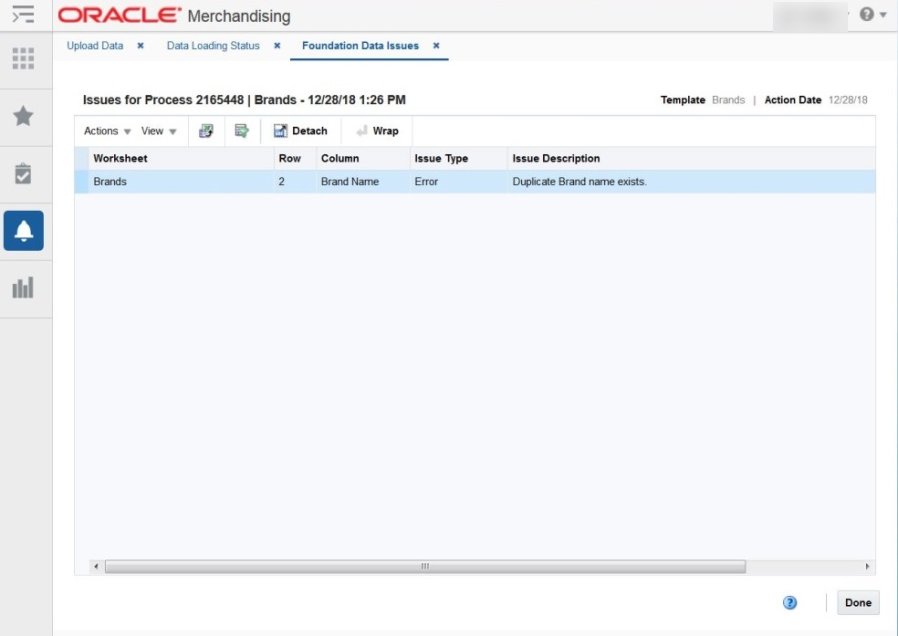 Foundation Data Issues showing an error on row 2: Duplicate Brand name exists.